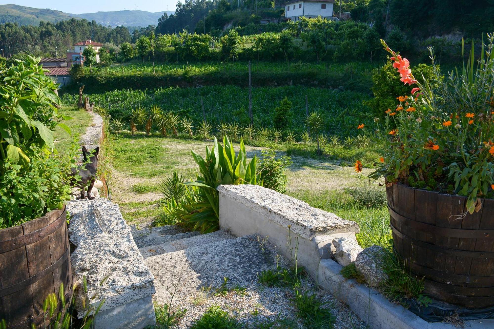 Quinta Do Bairro Villa Vieira do Minho Kültér fotó